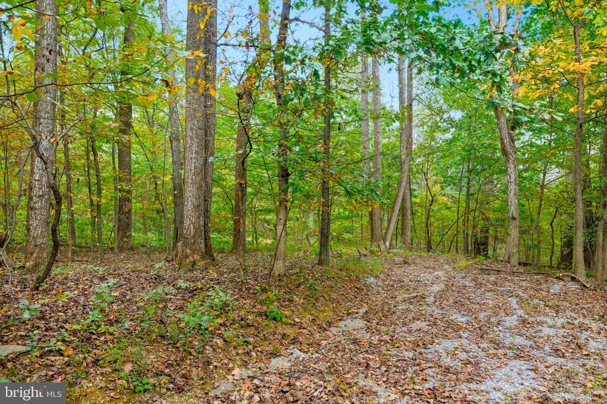 Appalacian Trail Road Purcellville, VA 20132 - Photo 13 of 24 a view of outdoor space and trees