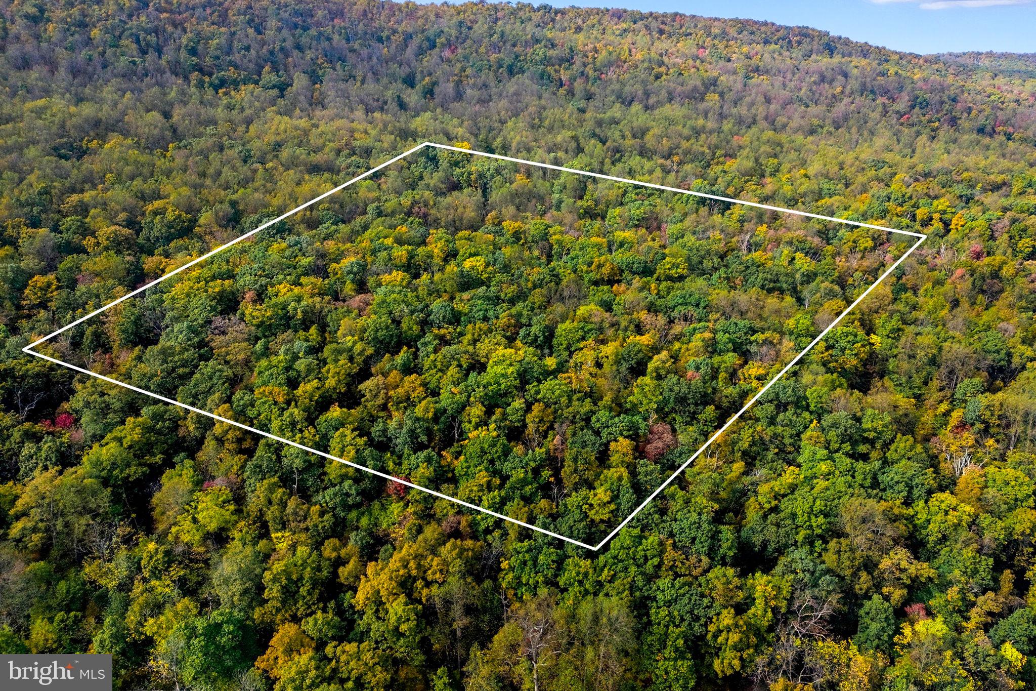 Appalacian Trail Road Purcellville, VA 20132 - Photo 14 of 24 a view of a field with a tree in the background