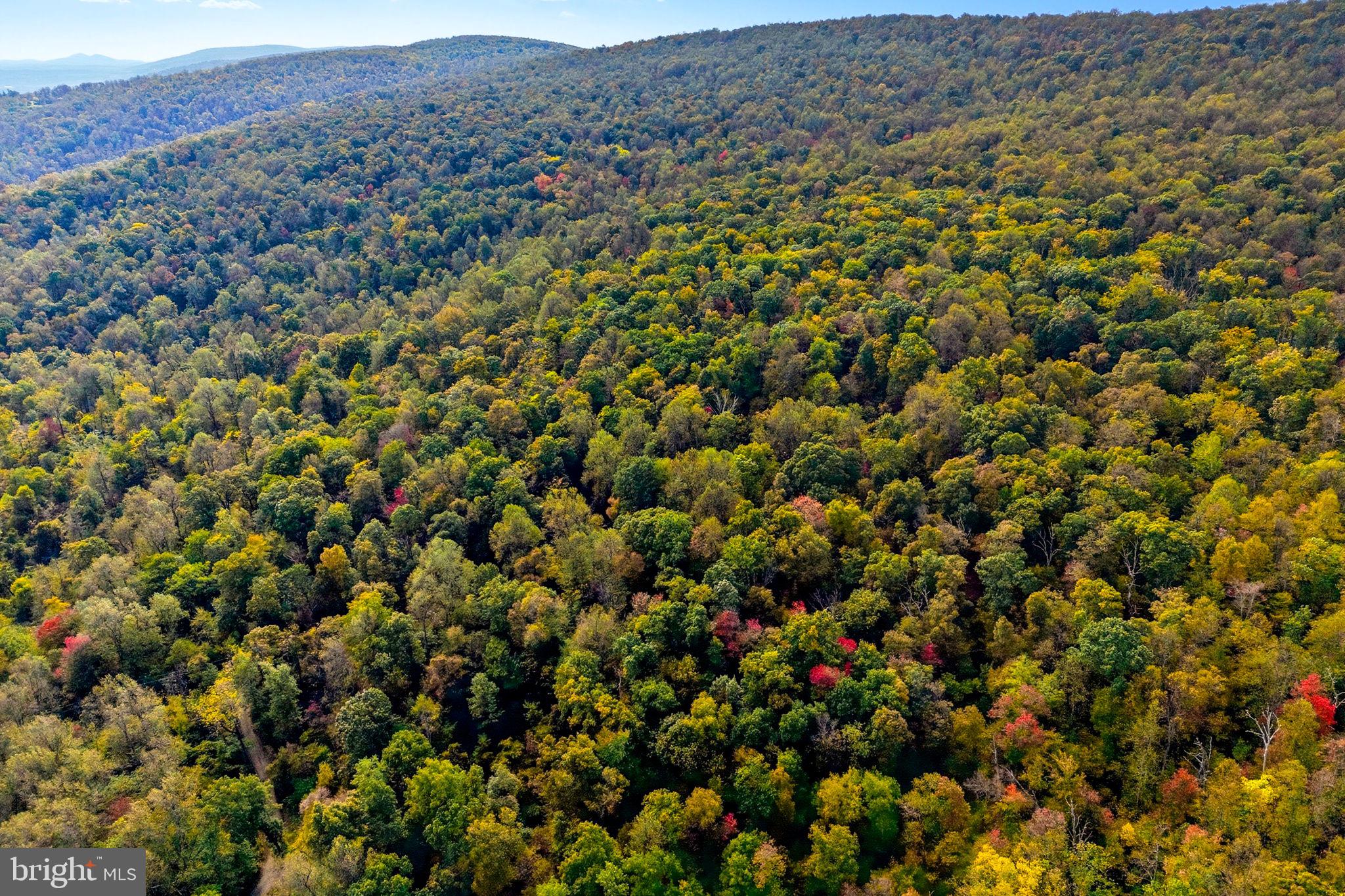 Appalacian Trail Road Purcellville, VA 20132 - Photo 16 of 24 an aerial view of a houses with a lush green hillside