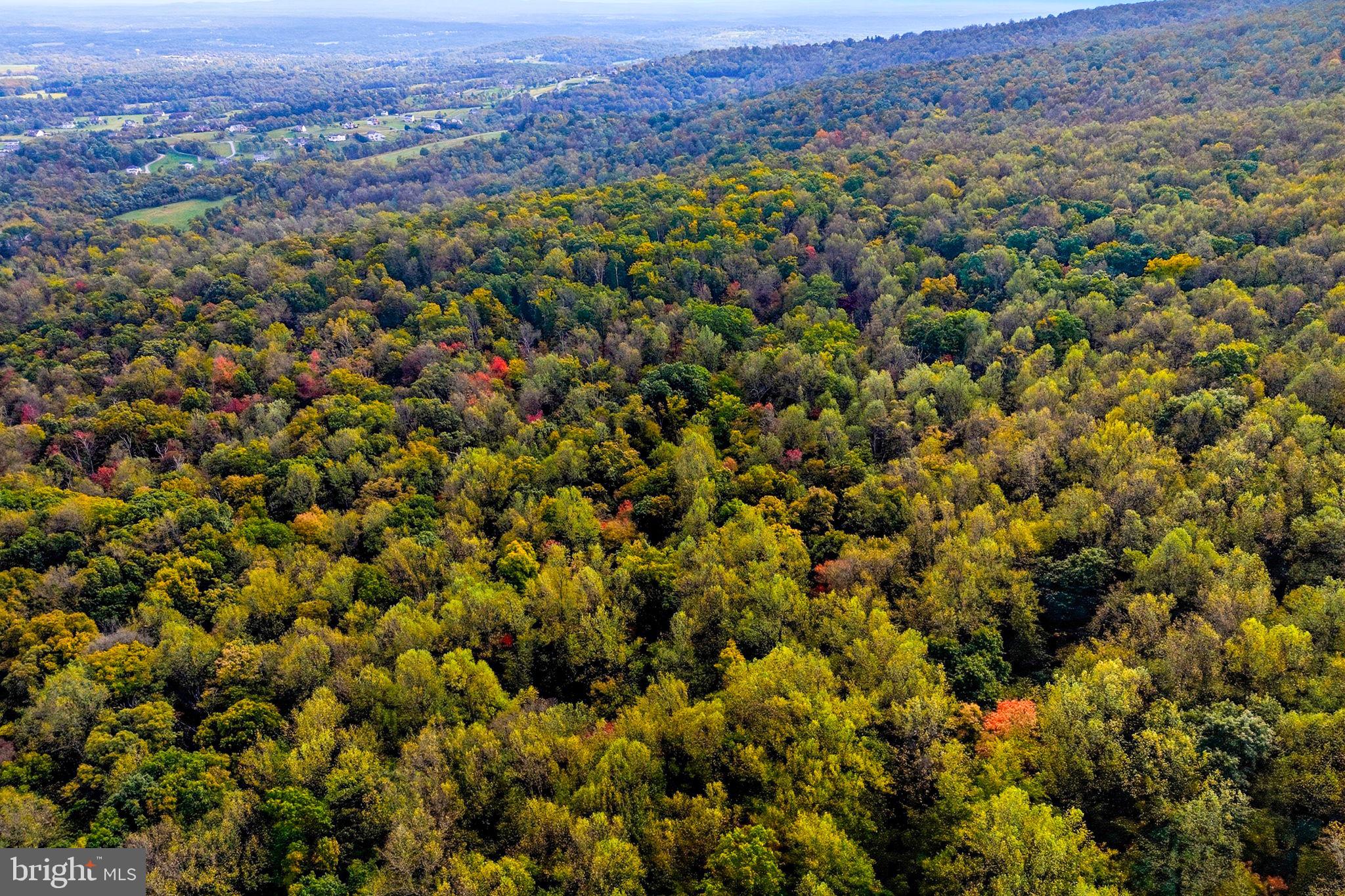 Appalacian Trail Road Purcellville, VA 20132 - Photo 17 of 24 an aerial view of a houses with a lush green hillside