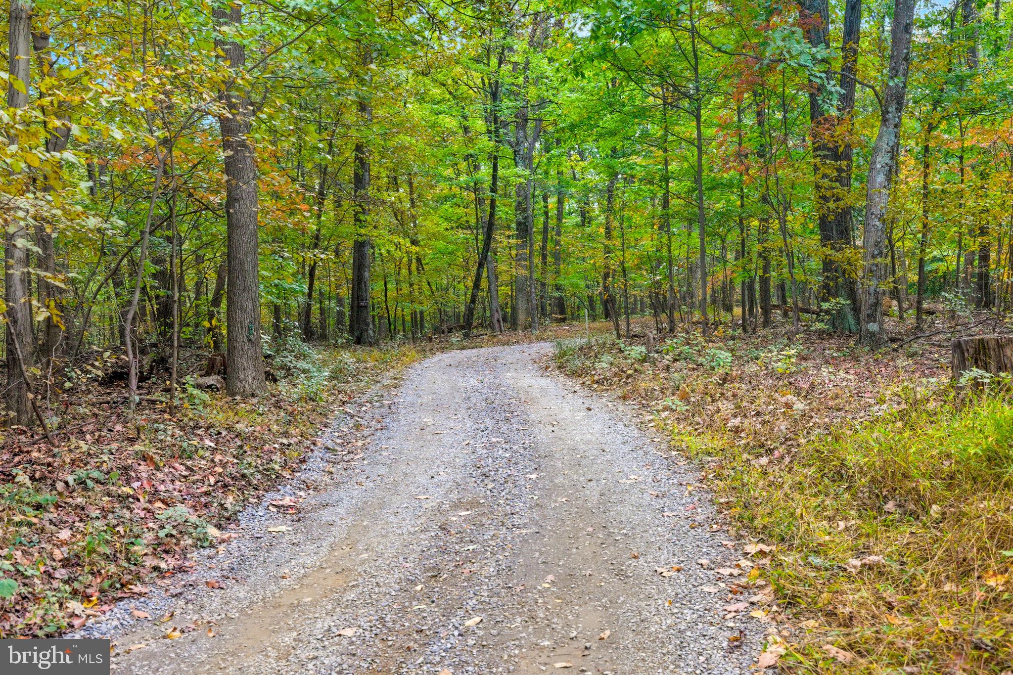 Appalacian Trail Road Purcellville, VA 20132 - Photo 19 of 24 a view of outdoor space and trees