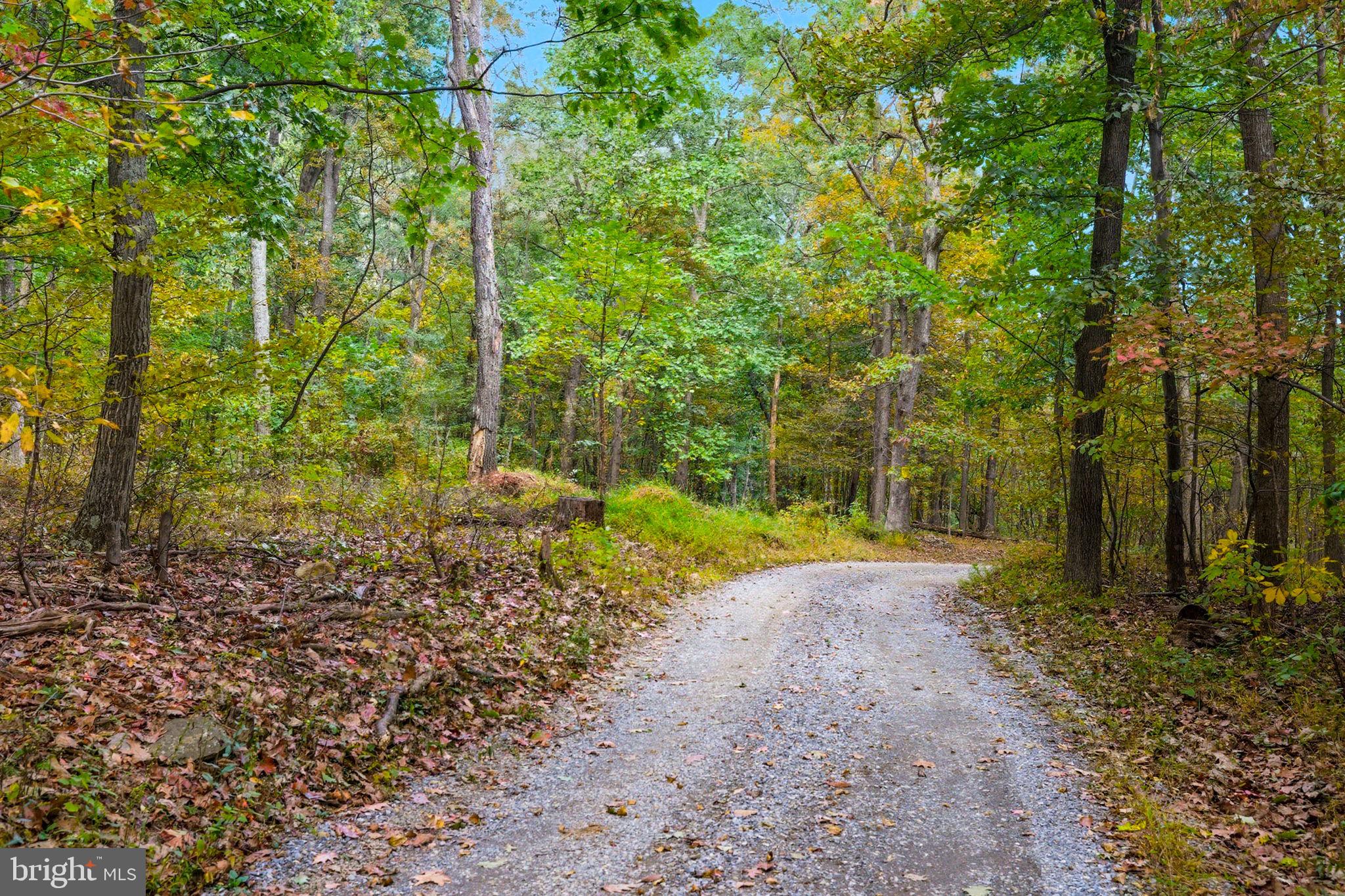 Appalacian Trail Road Purcellville, VA 20132 - Photo 20 of 24 a view of a yard with plants and large trees