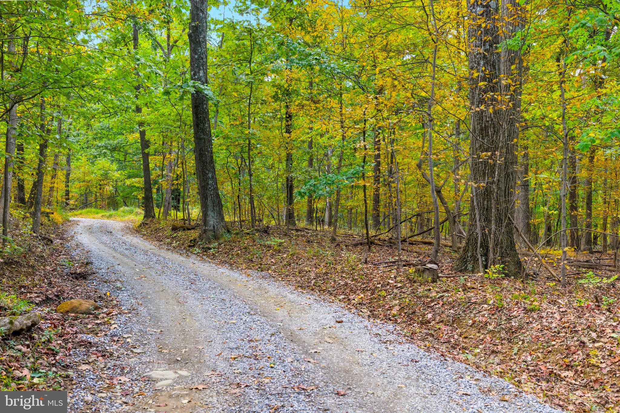 Appalacian Trail Road Purcellville, VA 20132 - Photo 2 of 24 a backyard of a house with large trees