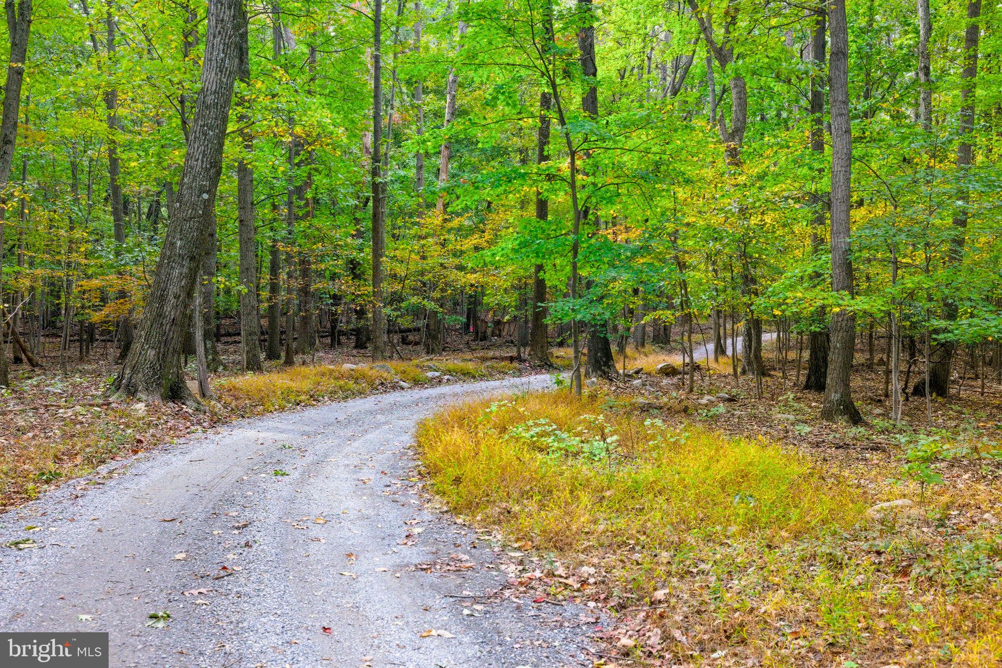 Appalacian Trail Road Purcellville, VA 20132 - Photo 22 of 24 a view of a swimming pool with a patio