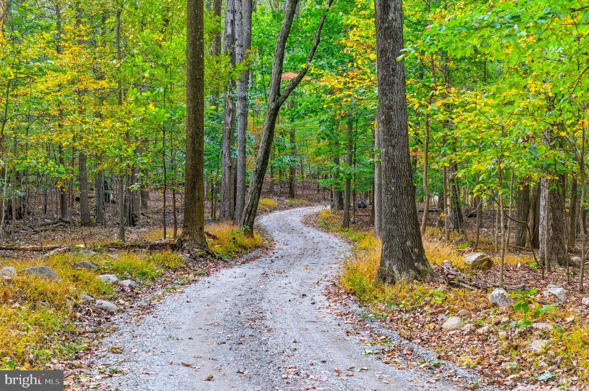 Appalacian Trail Road Purcellville, VA 20132 - Photo 23 of 24 a view of a swimming pool with a patio