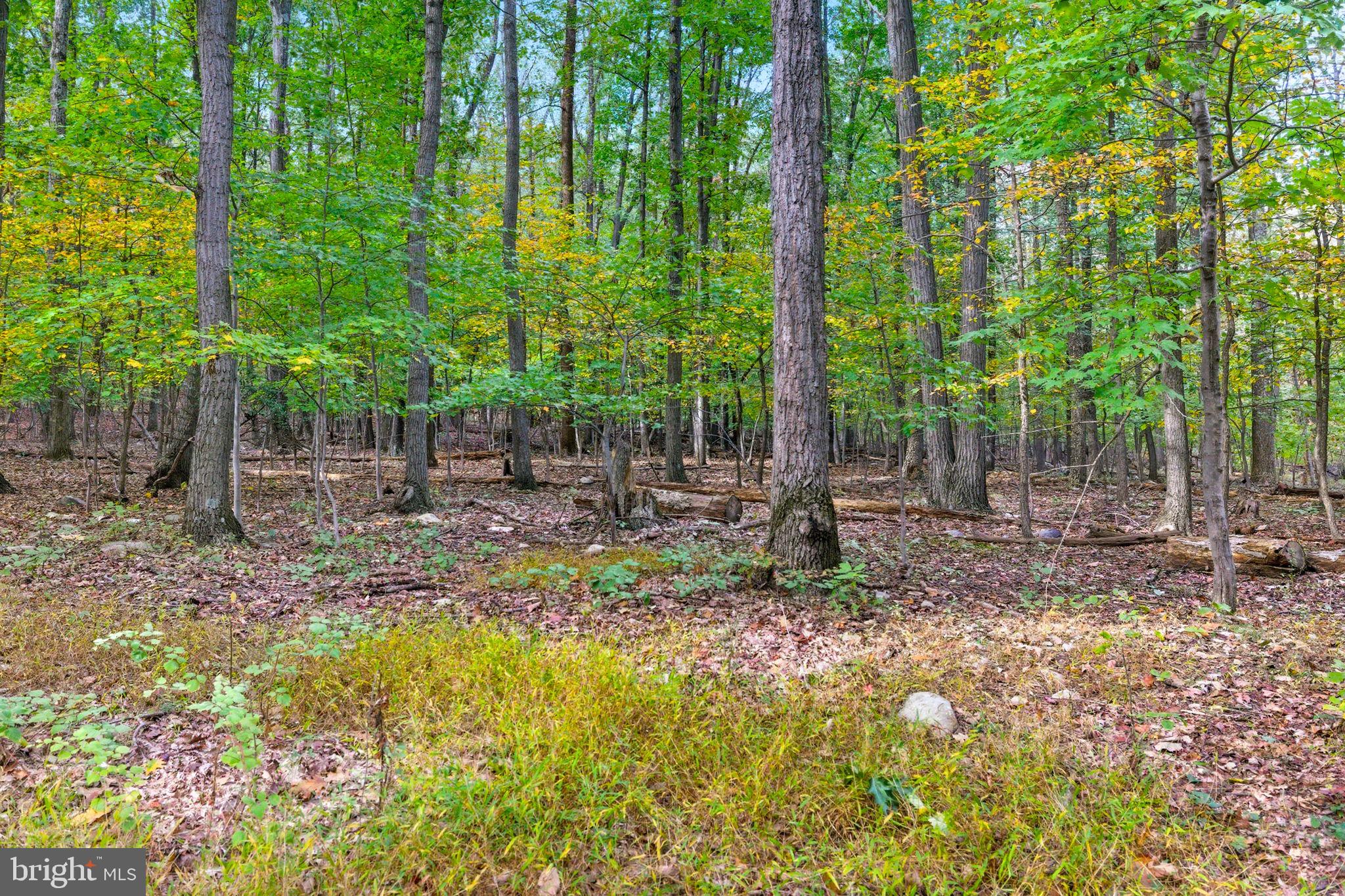 Appalacian Trail Road Purcellville, VA 20132 - Photo 24 of 24 a view of backyard with green space