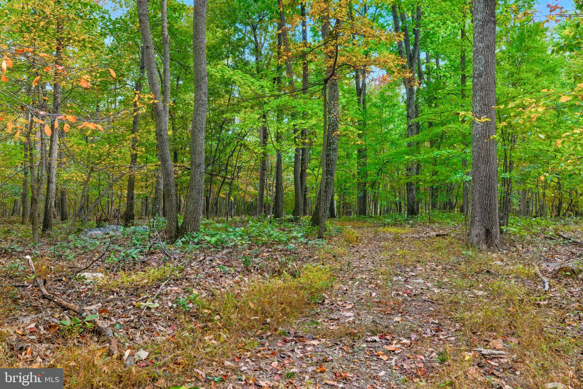 Appalacian Trail Road Purcellville, VA 20132 - Photo 3 of 24 a view of outdoor space and green space
