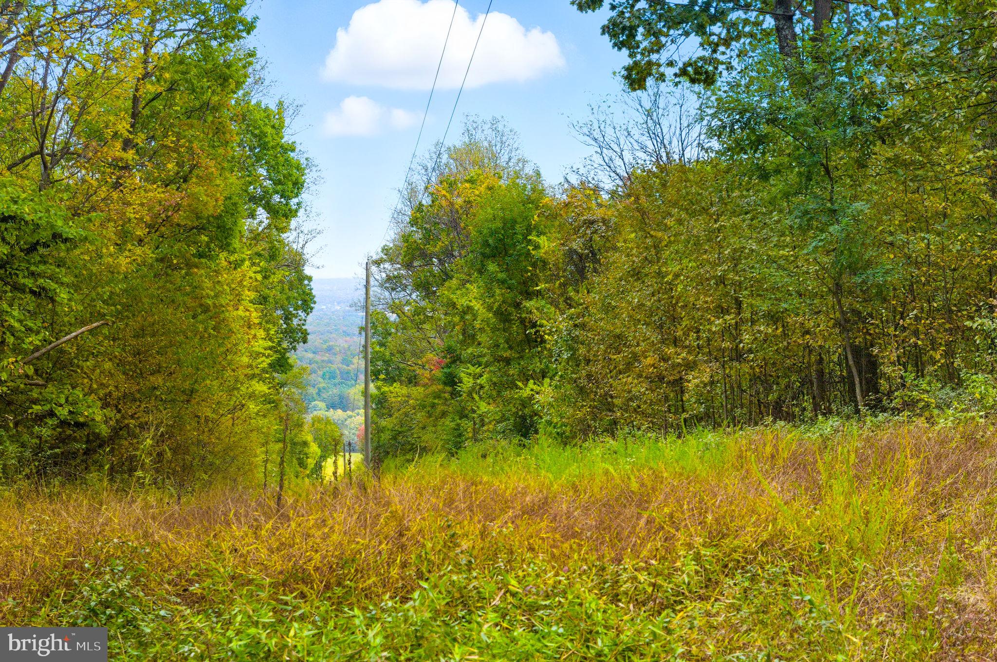 Appalacian Trail Road Purcellville, VA 20132 - Photo 9 of 24 a view of yard from a lake