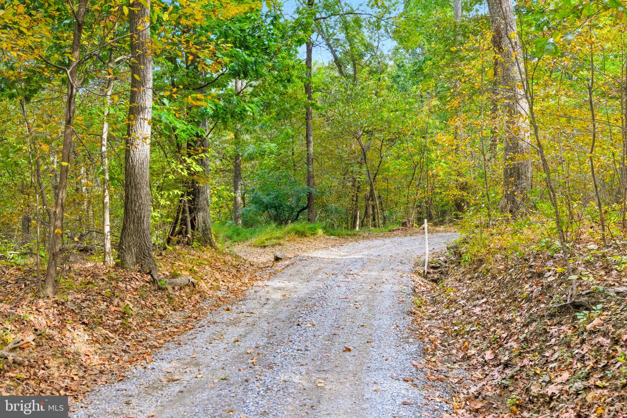 Appalacian Trail Road Purcellville, VA 20132 - Photo 10 of 24 a view of a yard with plants and trees