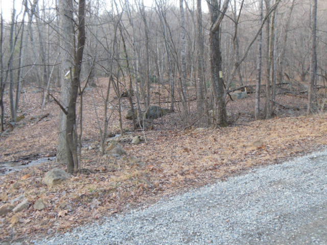 0 Mountain Valley Road Vinton, VA 24179 - Photo 3 of 3 DSCN6990