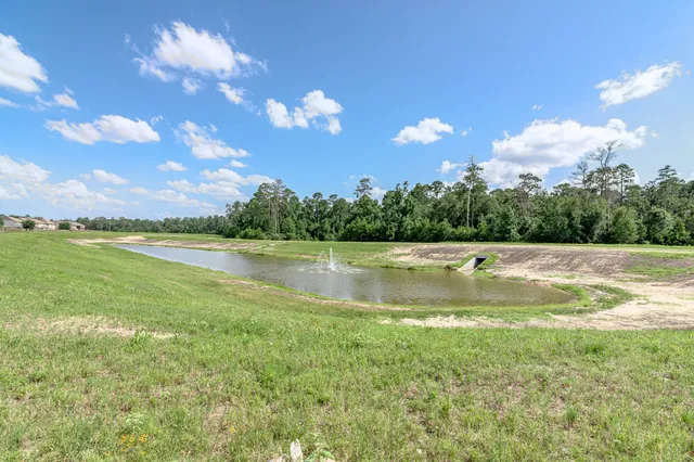 a view of a green field