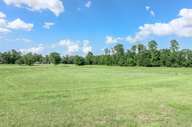 $295,000 | 29474 Forest Floor Lane, Spring, TX 77386