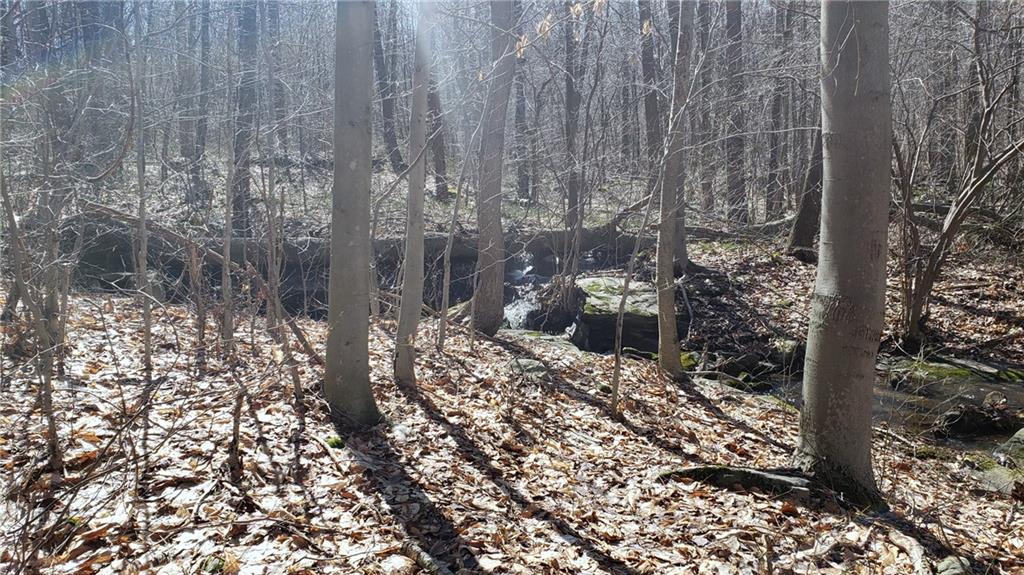 0 Coal Road New Florence, PA 15944 - Photo 3 of 14