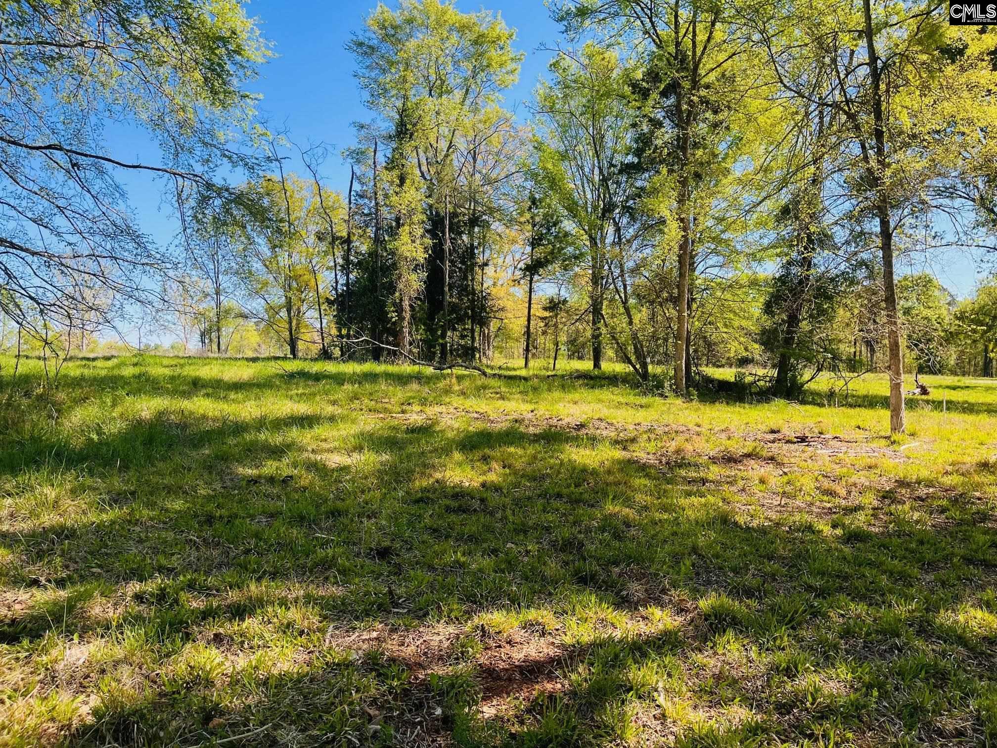 0 Lands End Lane Prosperity, SC 29127 - Photo 8 of 20