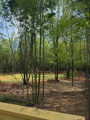a view of a tree in a yard
