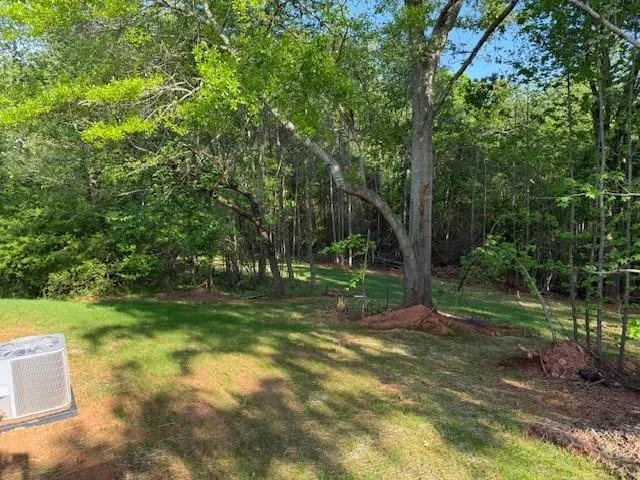 a view of a park that has large trees