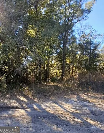 a view of outdoor space and yard
