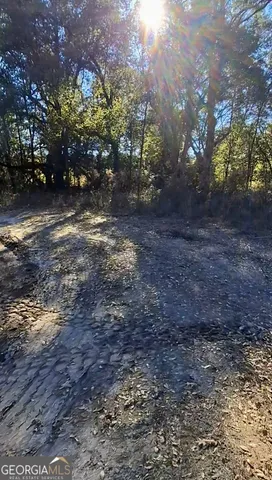 $30,000 | 0 Big Oak Lane, Newton, GA 39870