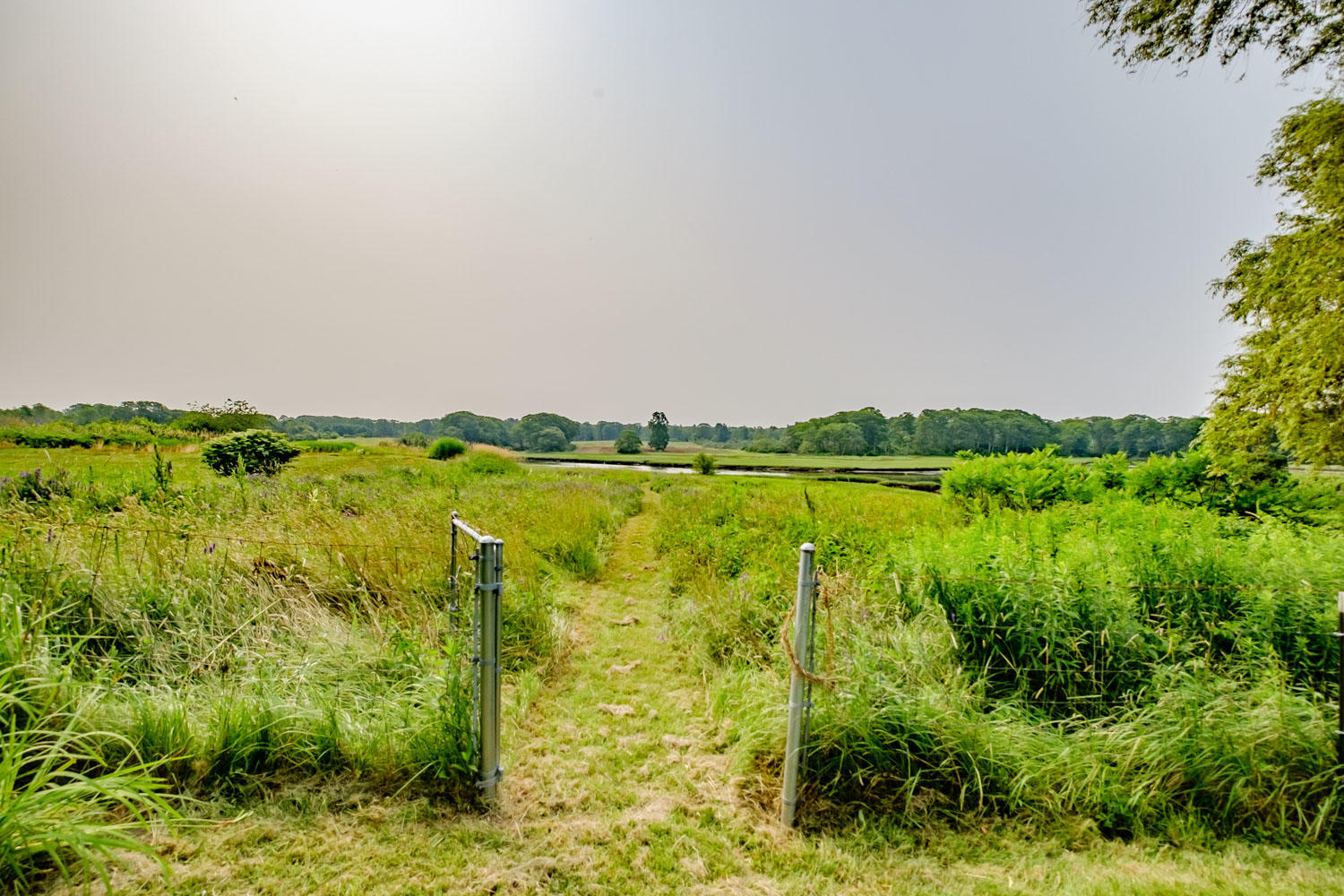 199 Spurwink Road Scarborough, ME 04074 - Photo 65 of 91 20190710gp-60068