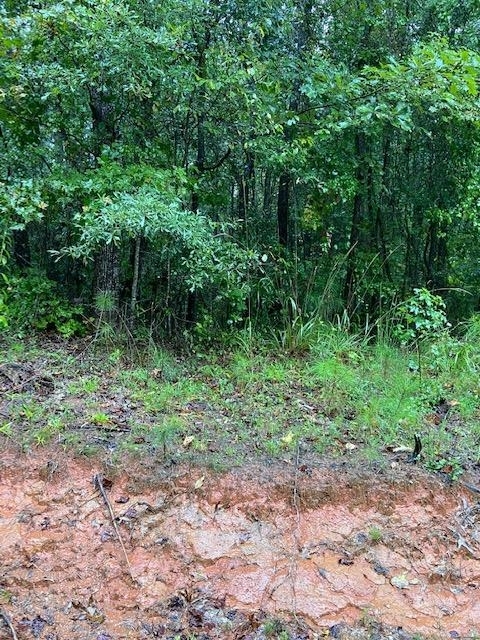 0 Dial Mill Road Oxford, GA 30054 - Photo 1 of 1 Gallery Image 1