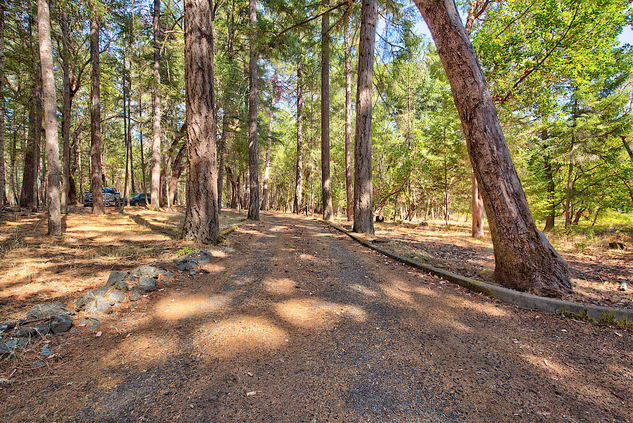 150 Combs Drive Merlin, OR 97532 - Photo 52 of 58 125A9774_5_6_7_8