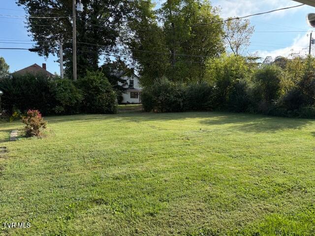 229 1st Street Erwin, TN 37650 - Photo 15 of 15 IMG_5976