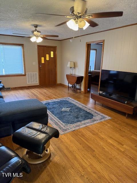 229 1st Street Erwin, TN 37650 - Photo 3 of 15 IMG_5979