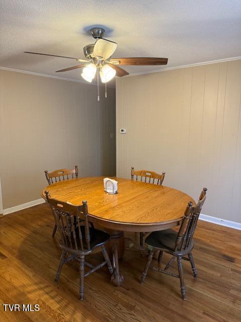 229 1st Street Erwin, TN 37650 - Photo 5 of 15 IMG_5984