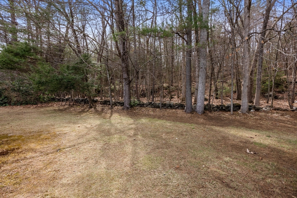 231 Park Circle Sturbridge, MA 01566 - Photo 31 of 32 a view of outdoor space with trees