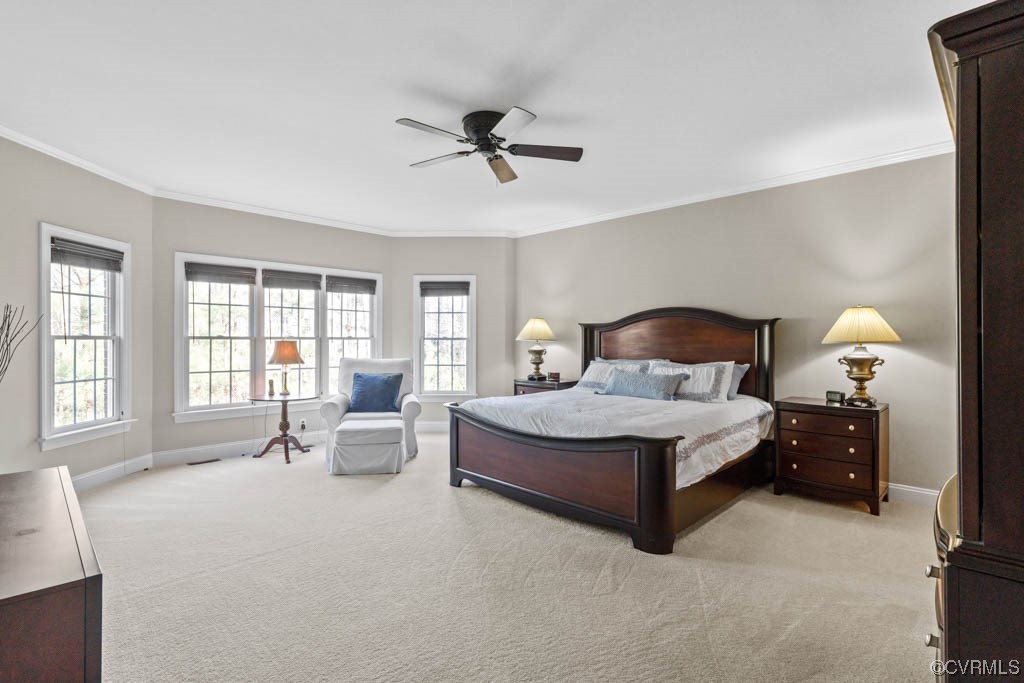 4318 Elmstone Road Midlothian, VA 23113 - Photo 21 of 47 a bedroom with a large bed and windows