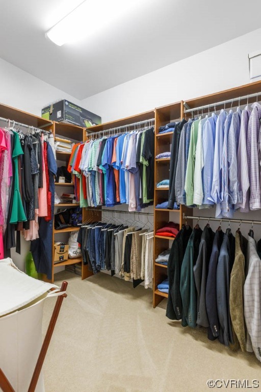 4318 Elmstone Road Midlothian, VA 23113 - Photo 24 of 47 a view of walk in closet with clothes and shoes