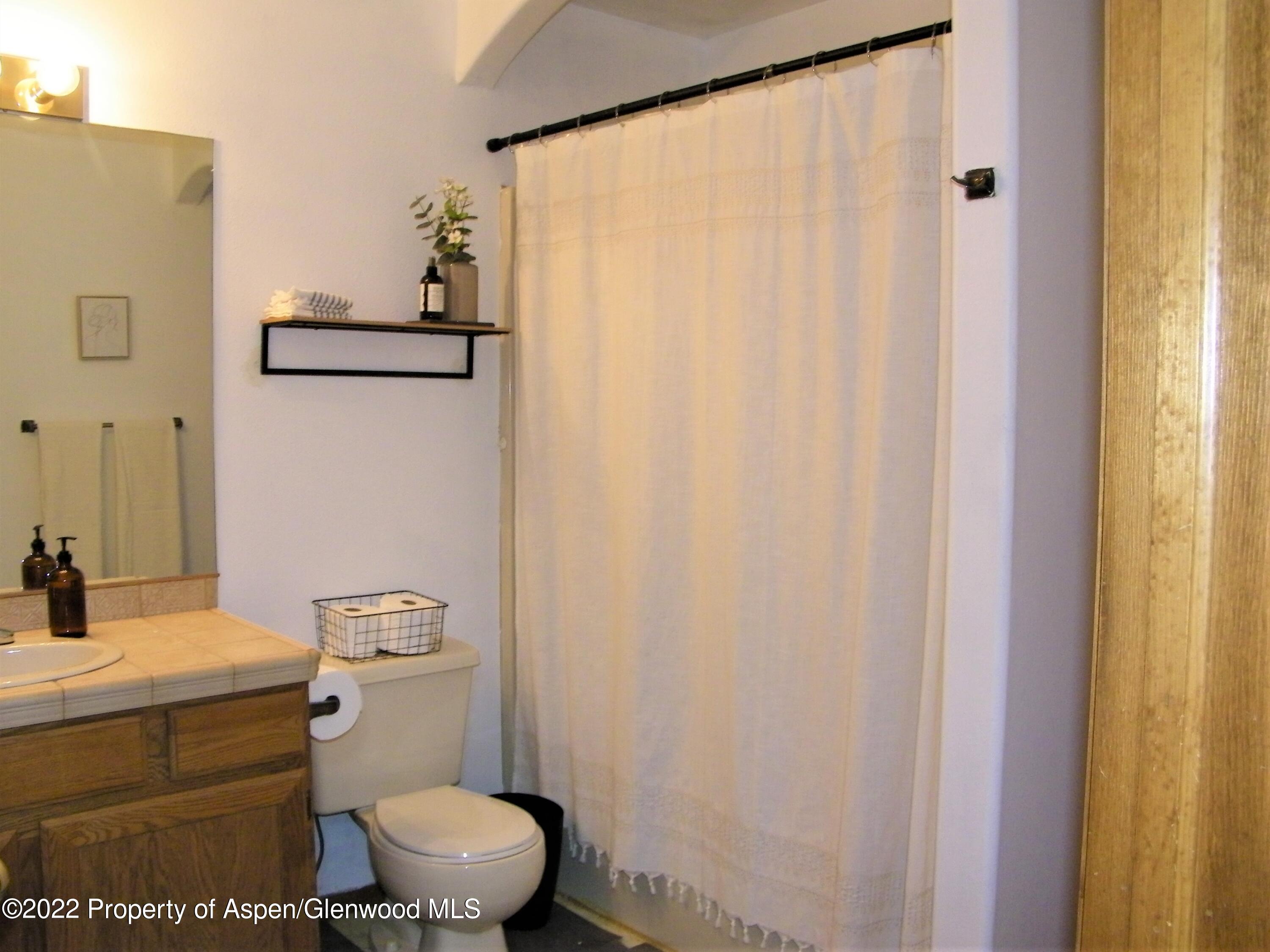 628 Ginseng Road New Castle, CO 81647 - Photo 10 of 12 Bathroom
