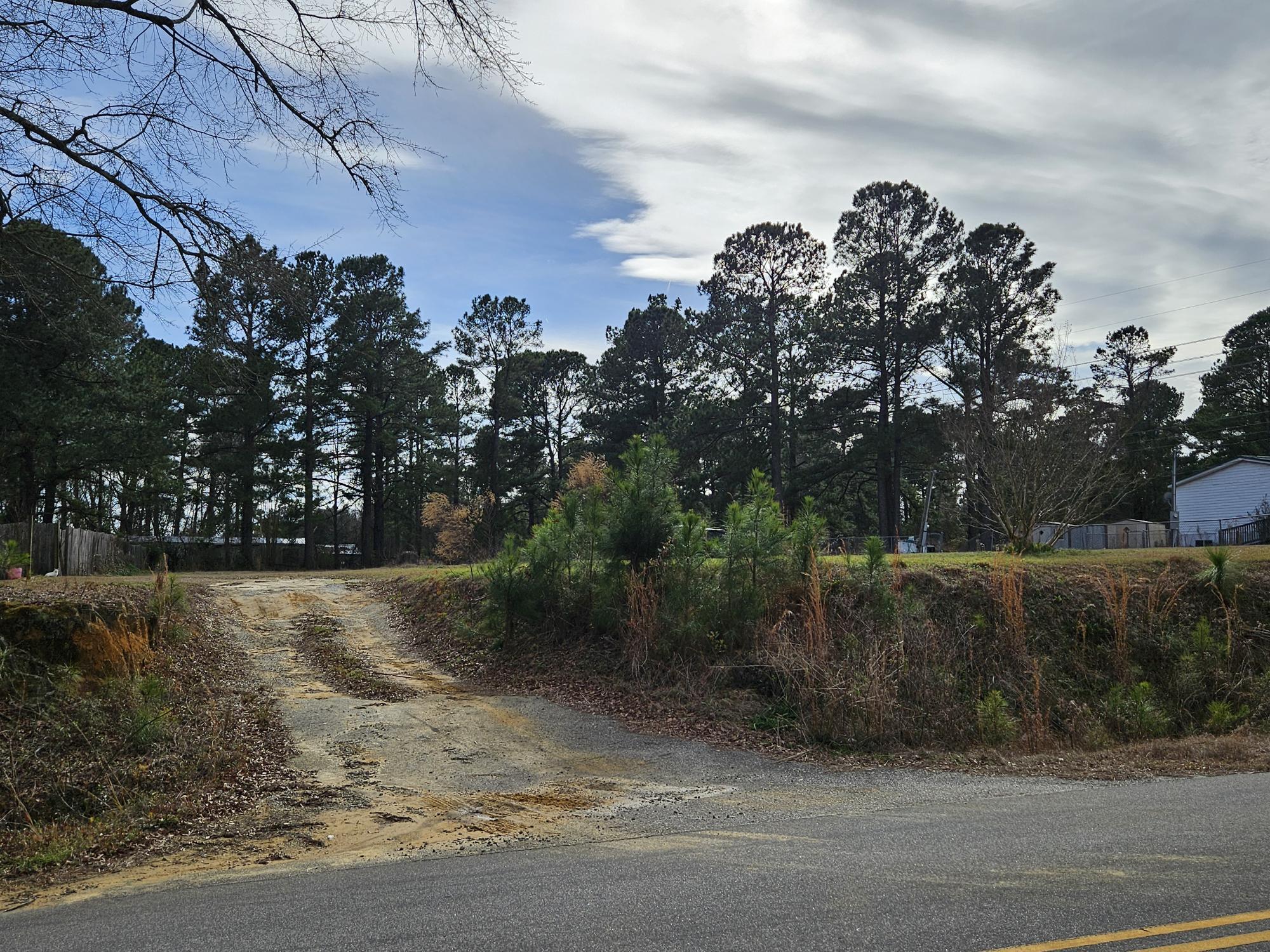 1343 Morello Road Manning, SC 29102 - Photo 3 of 14 DRIVEWAY UP INTO LOT