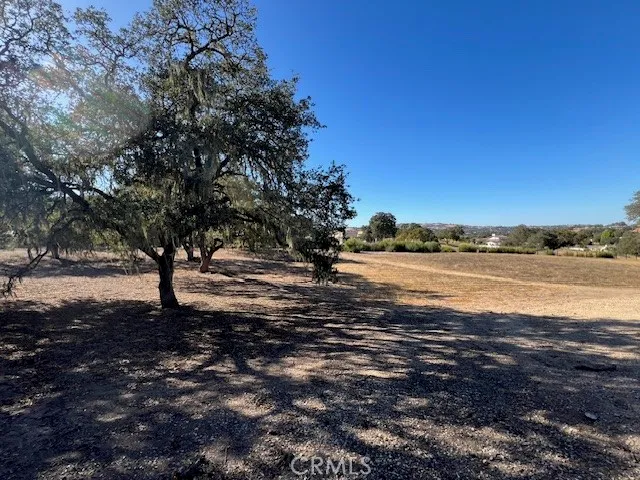 a view of outdoor space with lots of trees