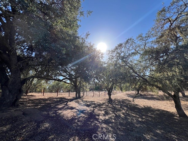 1810-lot 28 Fire Rock Loop Templeton, CA 93465 - Photo 3 of 8 a view of outdoor space with lots of trees