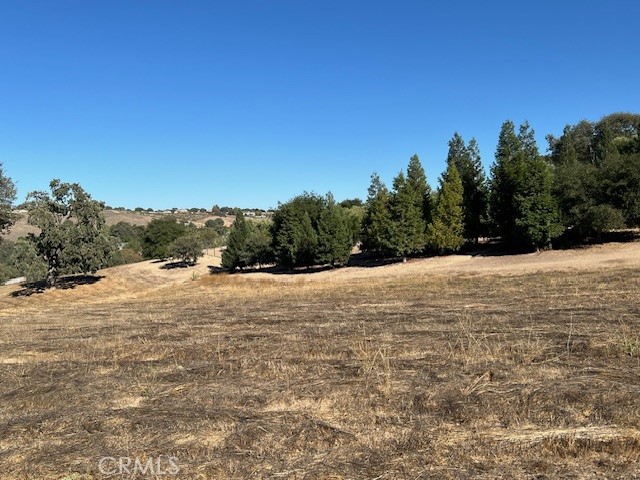 1810-lot 28 Fire Rock Loop Templeton, CA 93465 - Photo 7 of 8