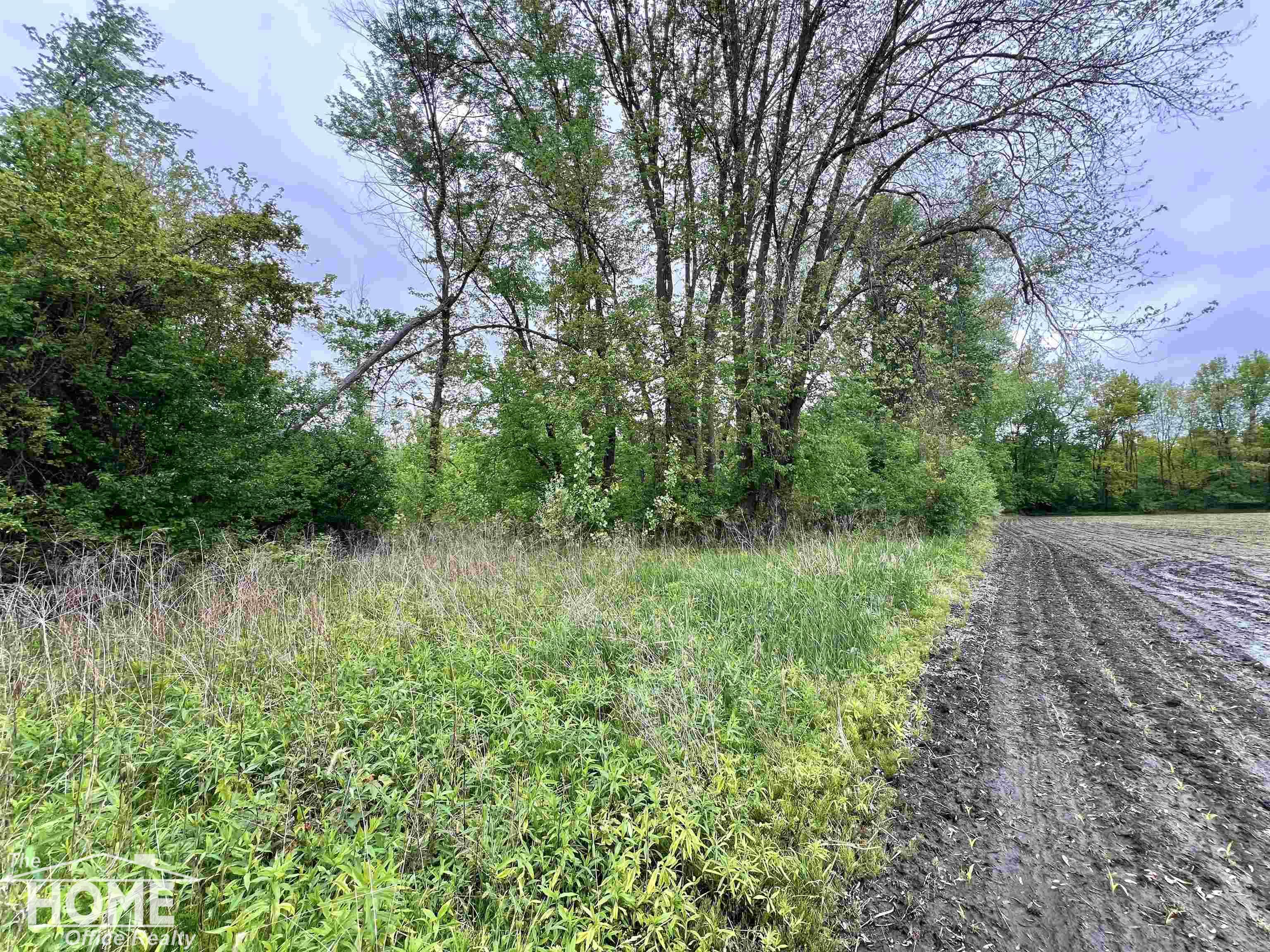 0 Sheridan Road Birch Run, MI 48415 - Photo 12 of 37 Gallery Image 12