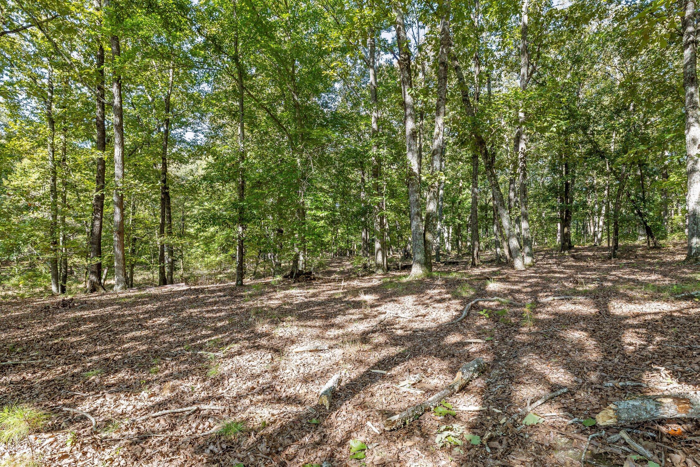 410 Tarvin Road Rock Spring, GA 30739 - Photo 44 of 72 Tarvin-49