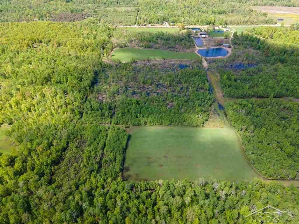 4445 Lang Road Beaverton, MI 48612 - Photo 66 of 66