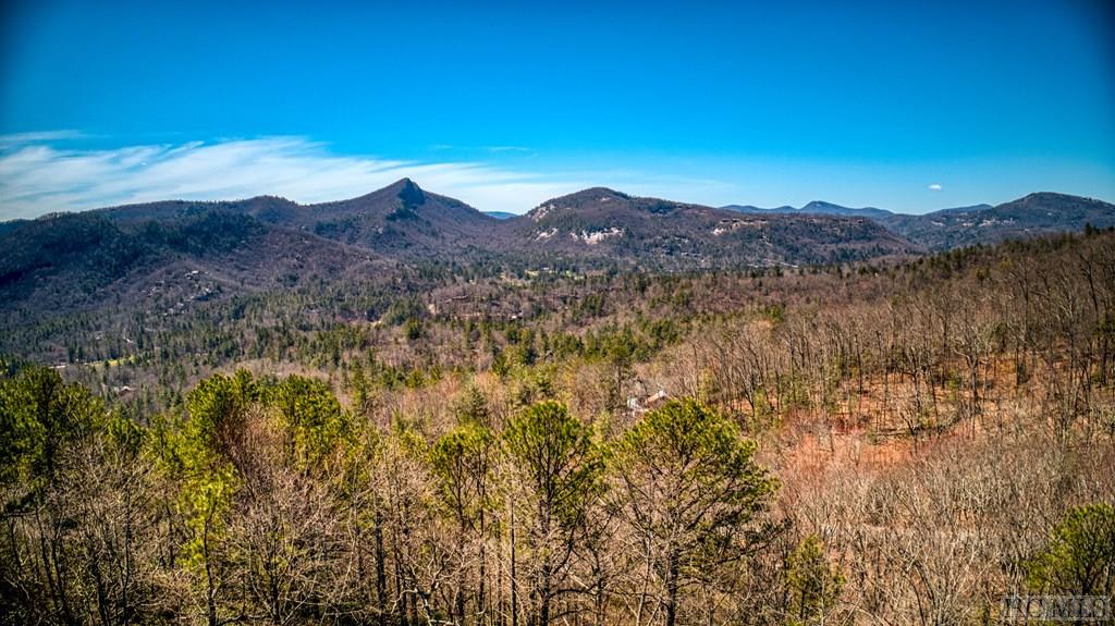 142 Eagle Ridge Road, Unit 2301 Sapphire, NC 28774 - Photo 2 of 22 Gallery Image 2