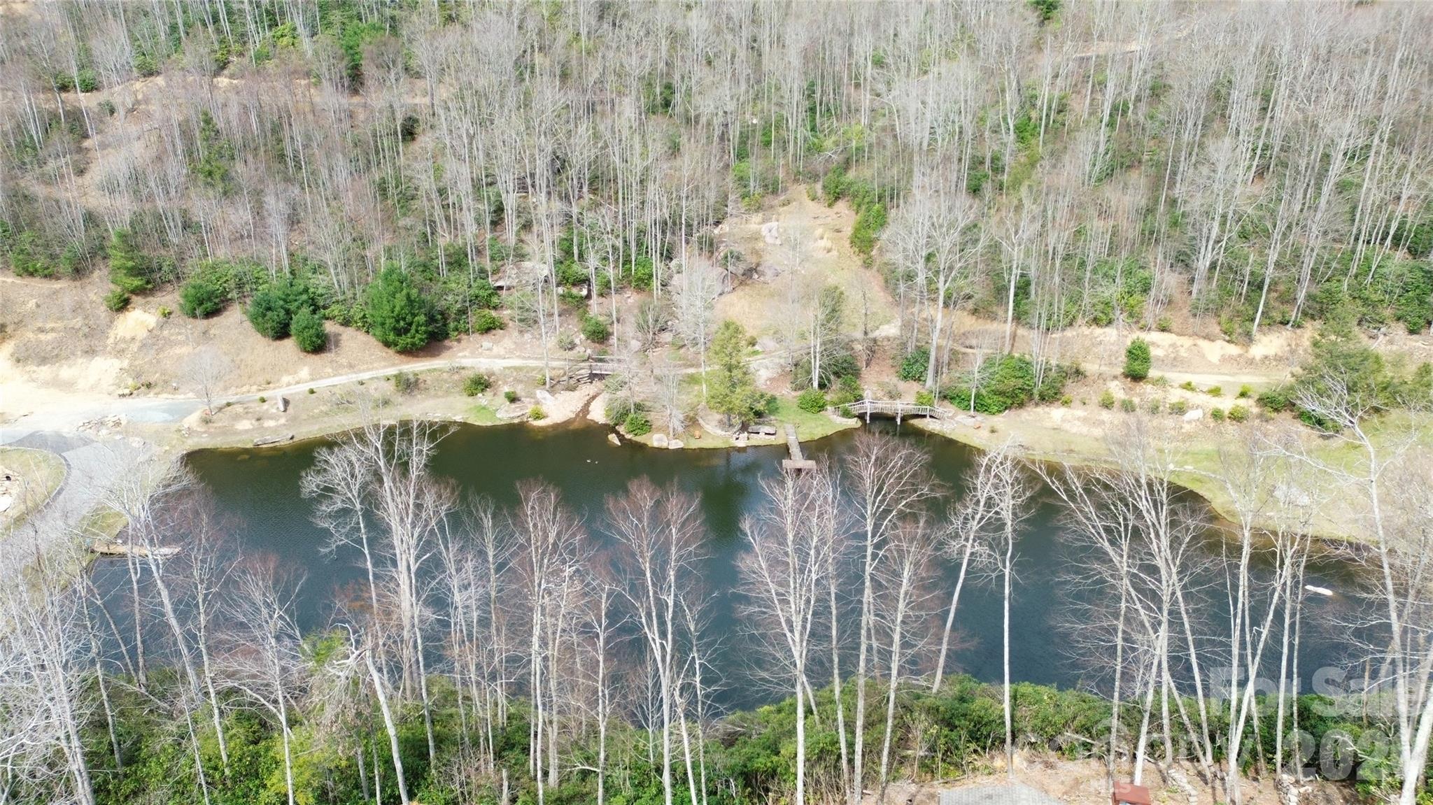 0 Woodlake Loop Road Elk Park, NC 28622 - Photo 11 of 29 a view of swimming pool from a lake
