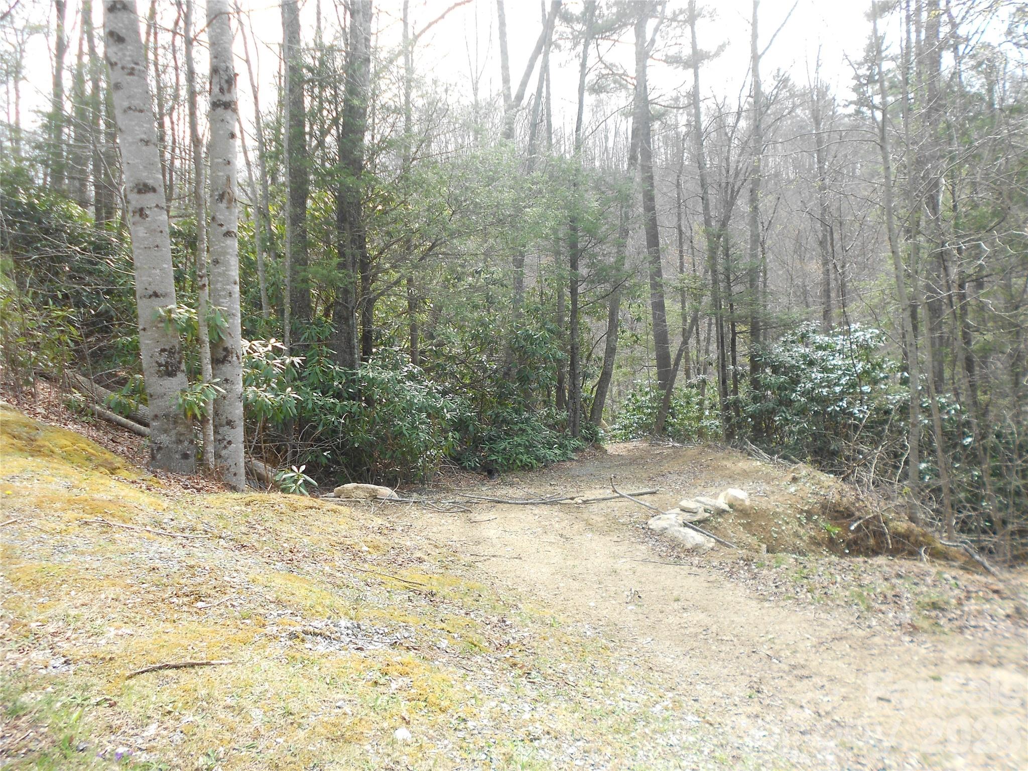 0 Woodlake Loop Road Elk Park, NC 28622 - Photo 19 of 29 a view of a yard with trees