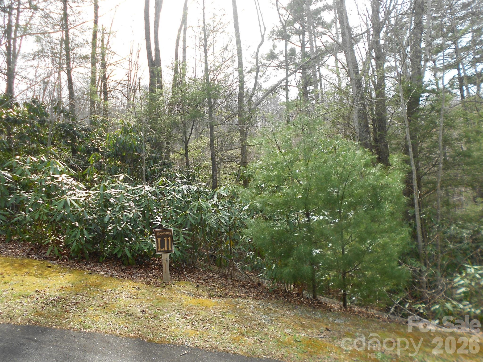 0 Woodlake Loop Road Elk Park, NC 28622 - Photo 20 of 29 a view of a forest filled with trees