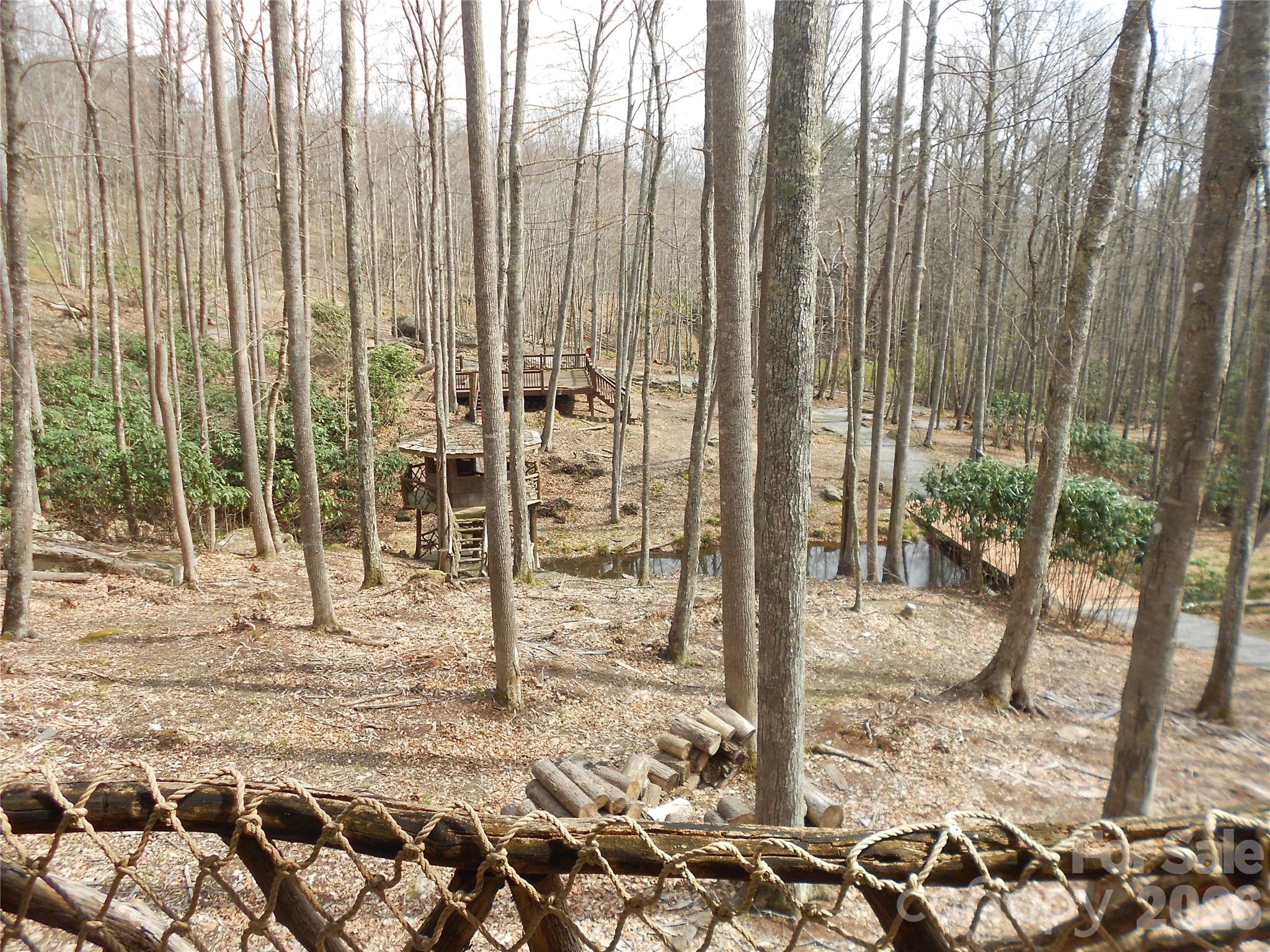 0 Woodlake Loop Road Elk Park, NC 28622 - Photo 23 of 29