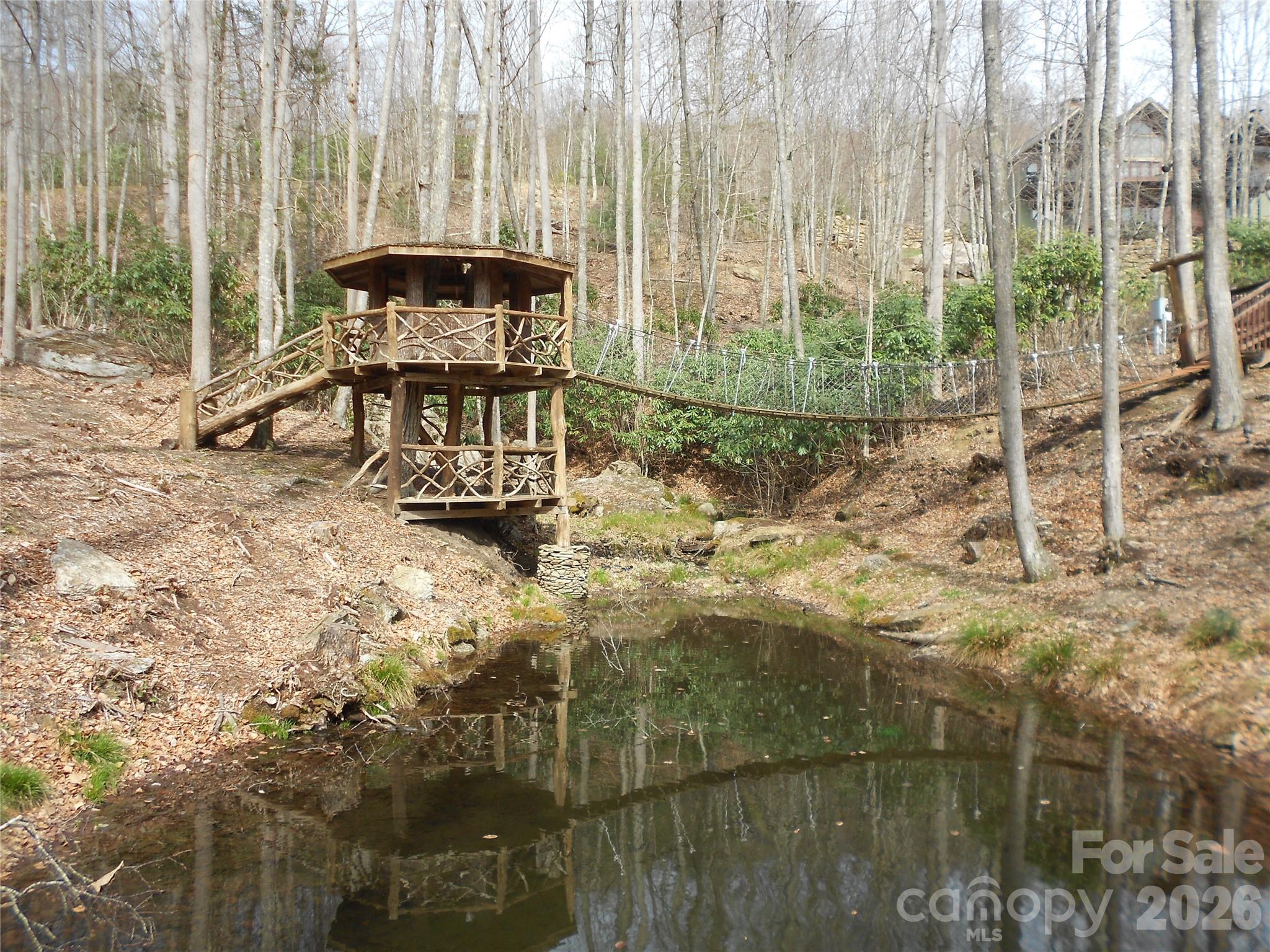 0 Woodlake Loop Road Elk Park, NC 28622 - Photo 25 of 29