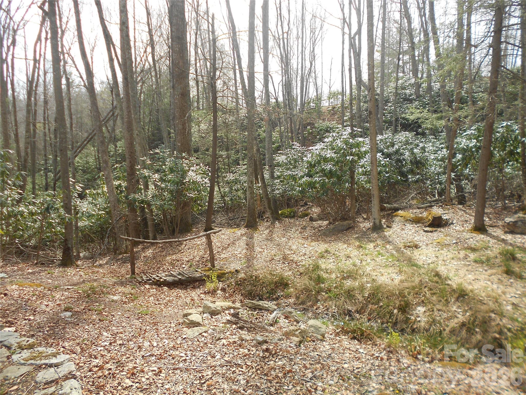 0 Woodlake Loop Road Elk Park, NC 28622 - Photo 26 of 29 a backyard of a house with lots of green space
