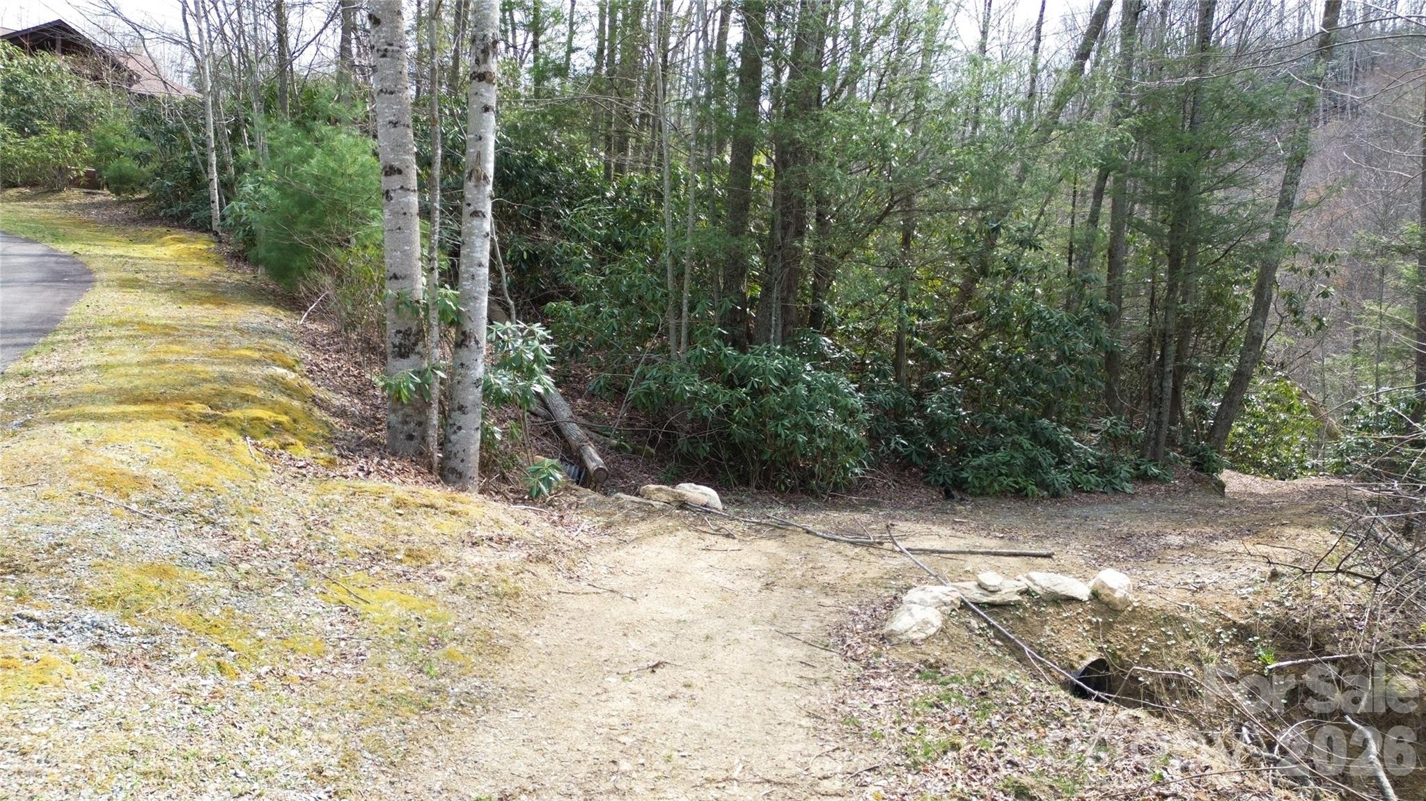 0 Woodlake Loop Road Elk Park, NC 28622 - Photo 3 of 29 a view of a yard with trees