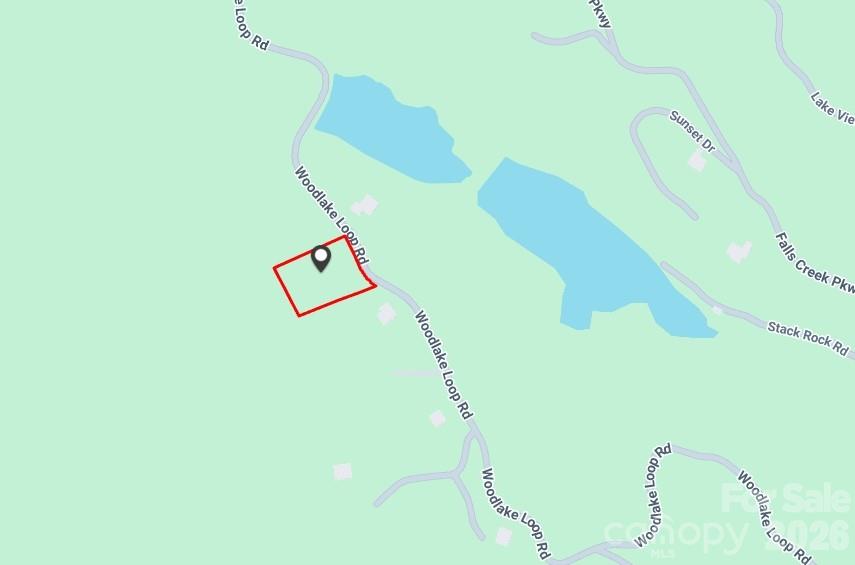 0 Woodlake Loop Road Elk Park, NC 28622 - Photo 3 of 3