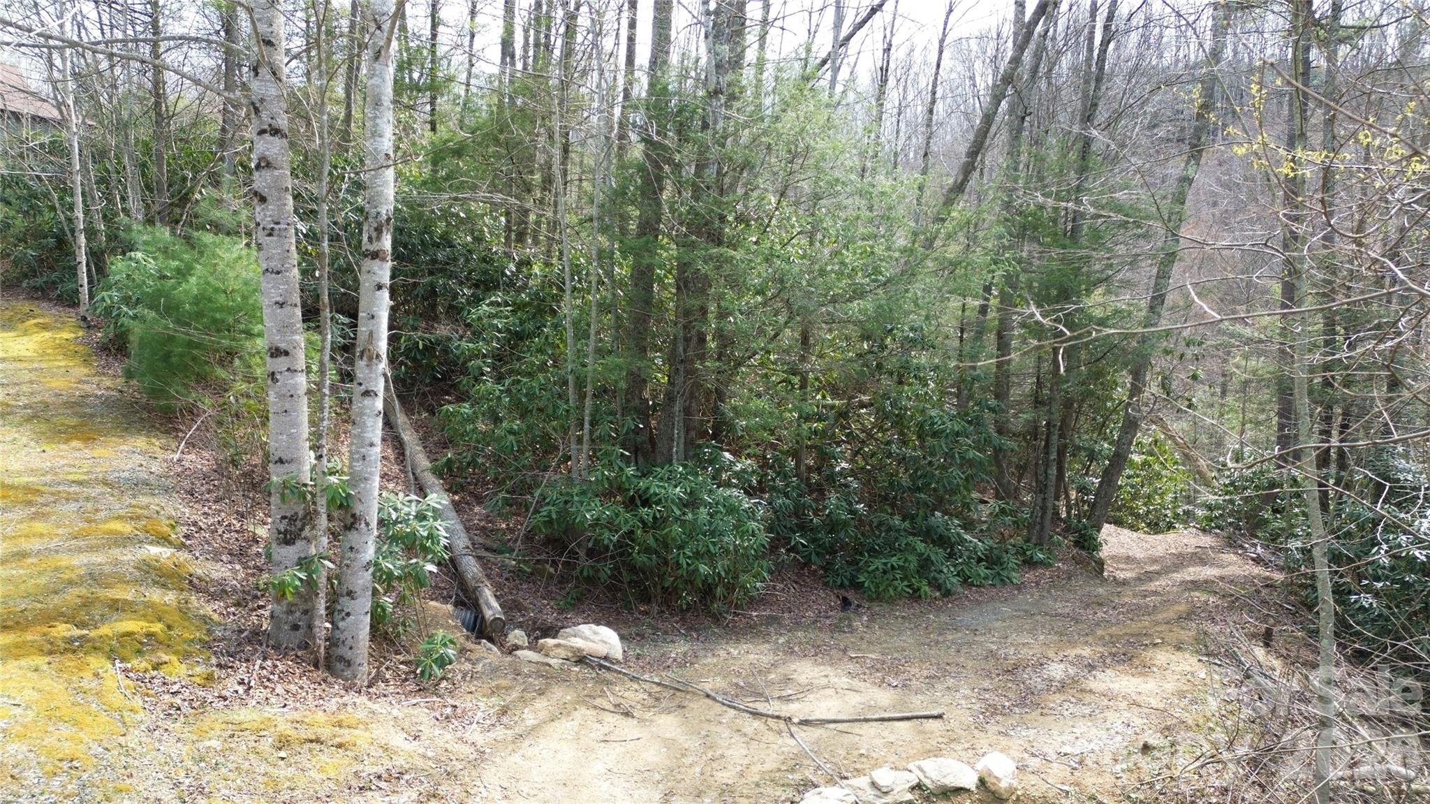 0 Woodlake Loop Road Elk Park, NC 28622 - Photo 4 of 29 a view of a forest with trees