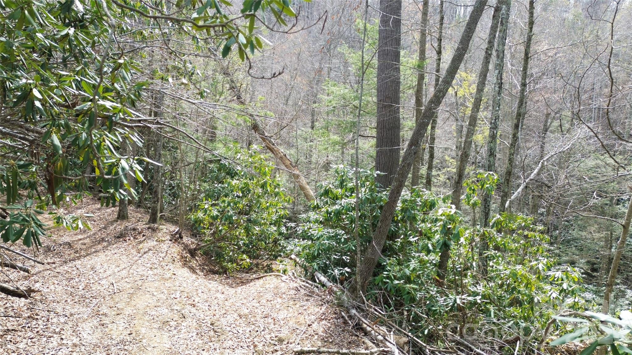 0 Woodlake Loop Road Elk Park, NC 28622 - Photo 5 of 29 a view of a yard with plants and tree